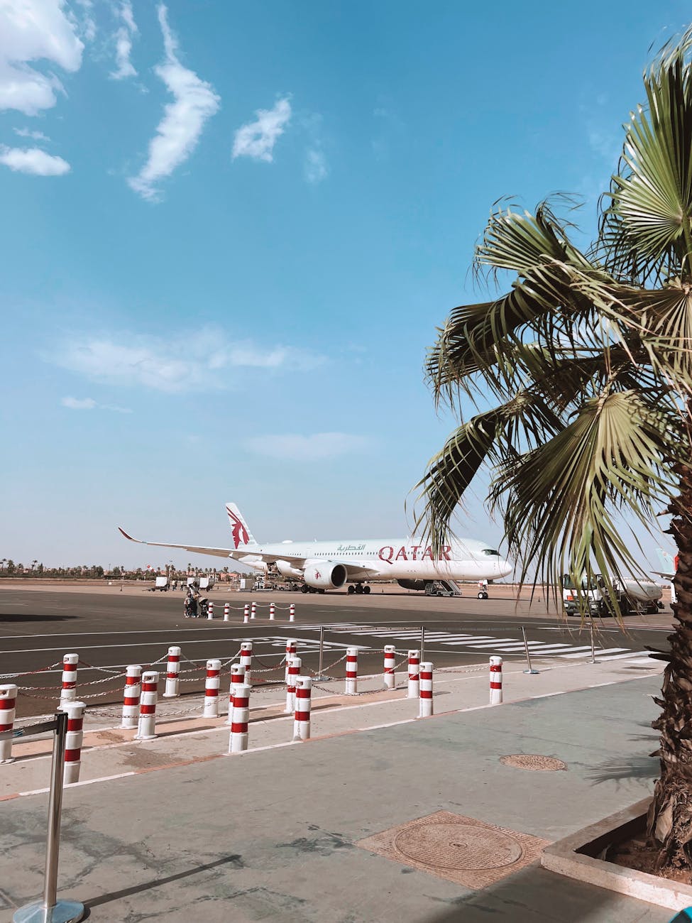 A Qatar Airways plane on a sunny airport tarmac with palm trees in the foreground.