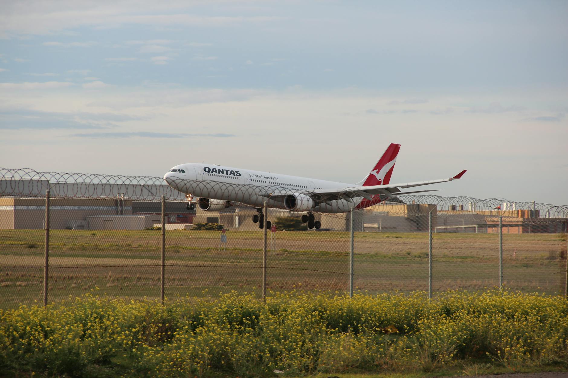A Qantas airplane landing on a runway at Melbourne Airport during the day.