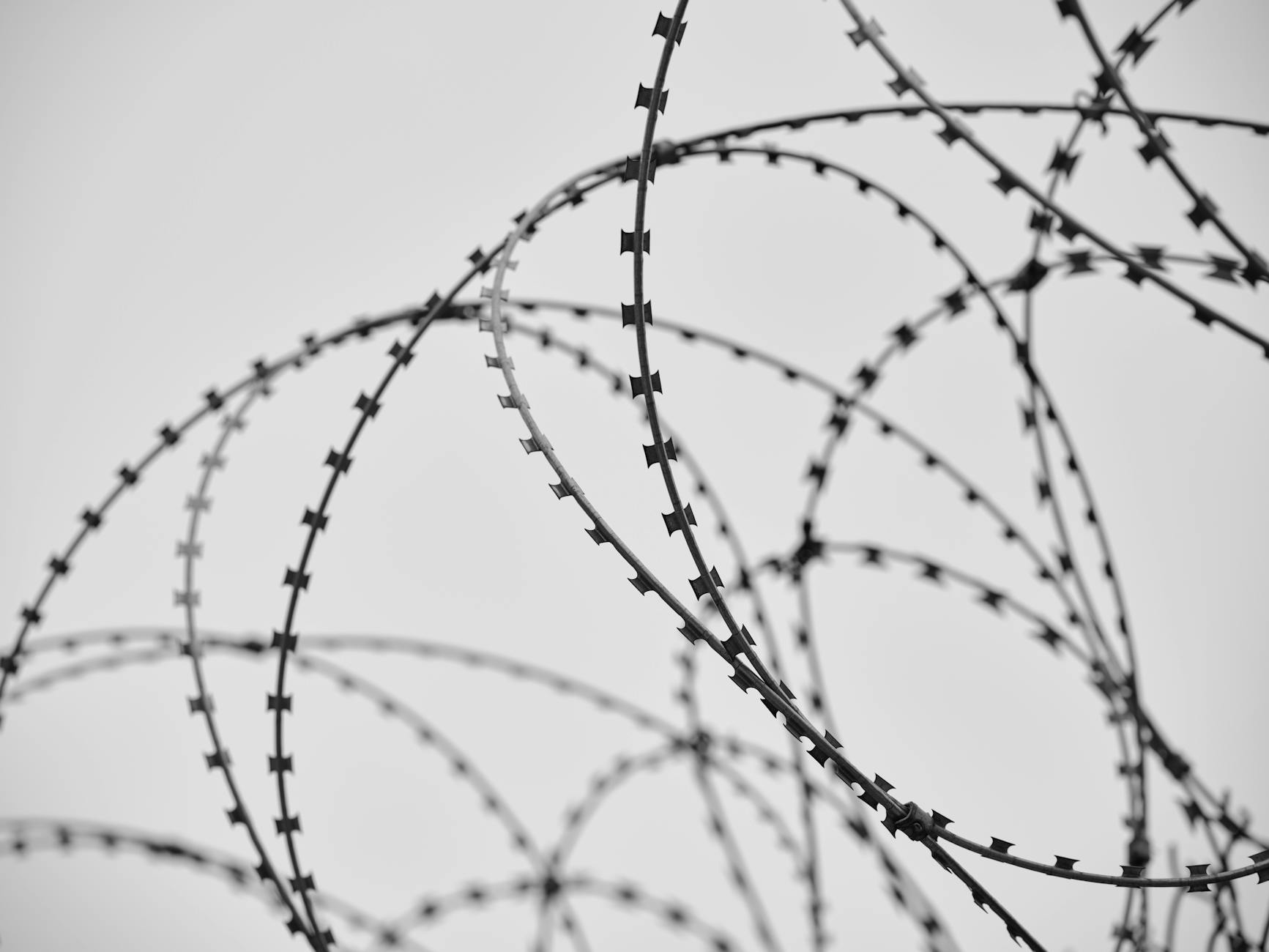Intricate loops of barbed wire in monochrome, emphasizing texture and structure.