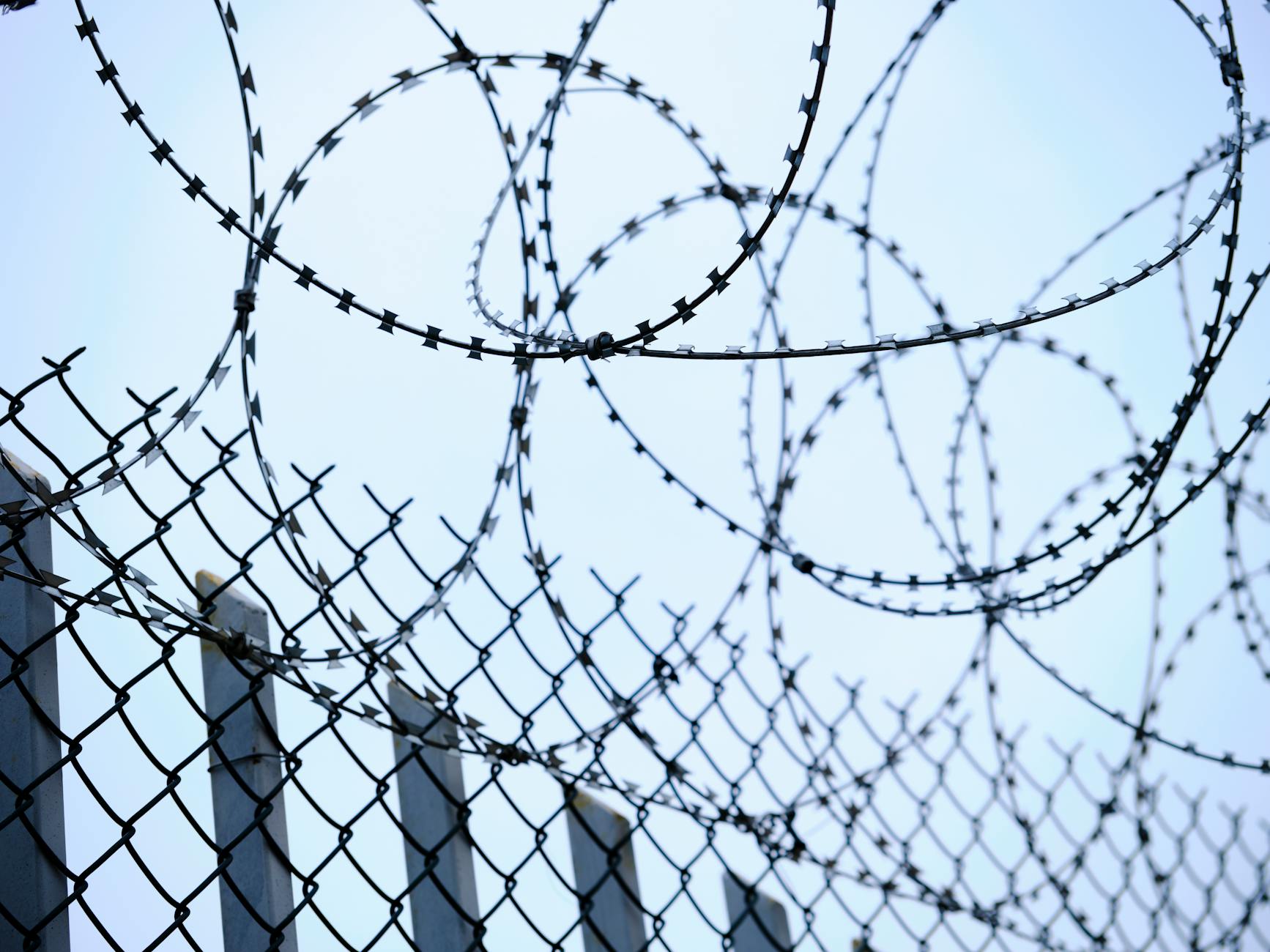 Close-up of barbed wire and chain-link fence for security and protection.