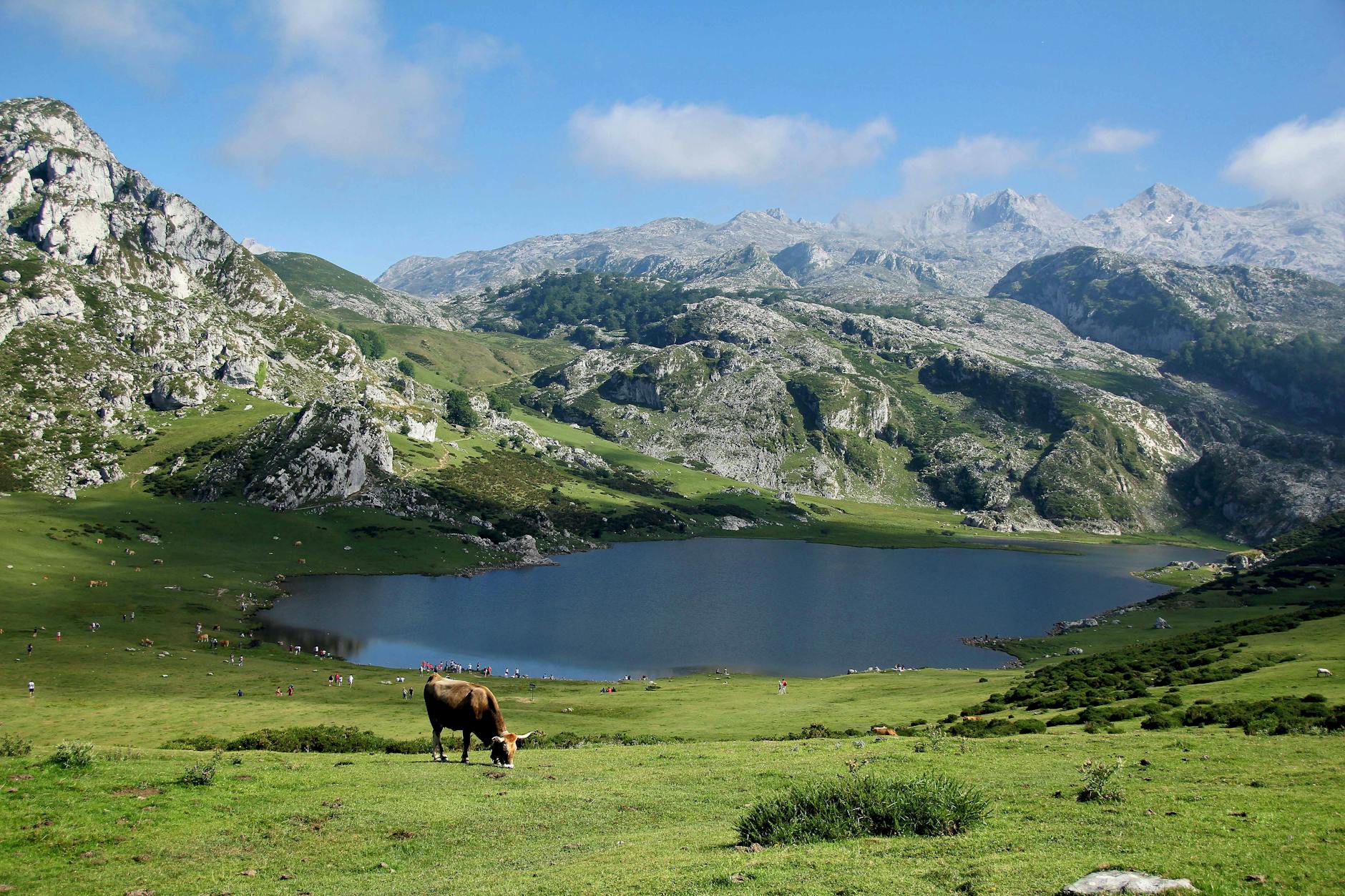 A picturesque landscape featuring a tranquil lake, mountains, and grazing cow in rural Europe.