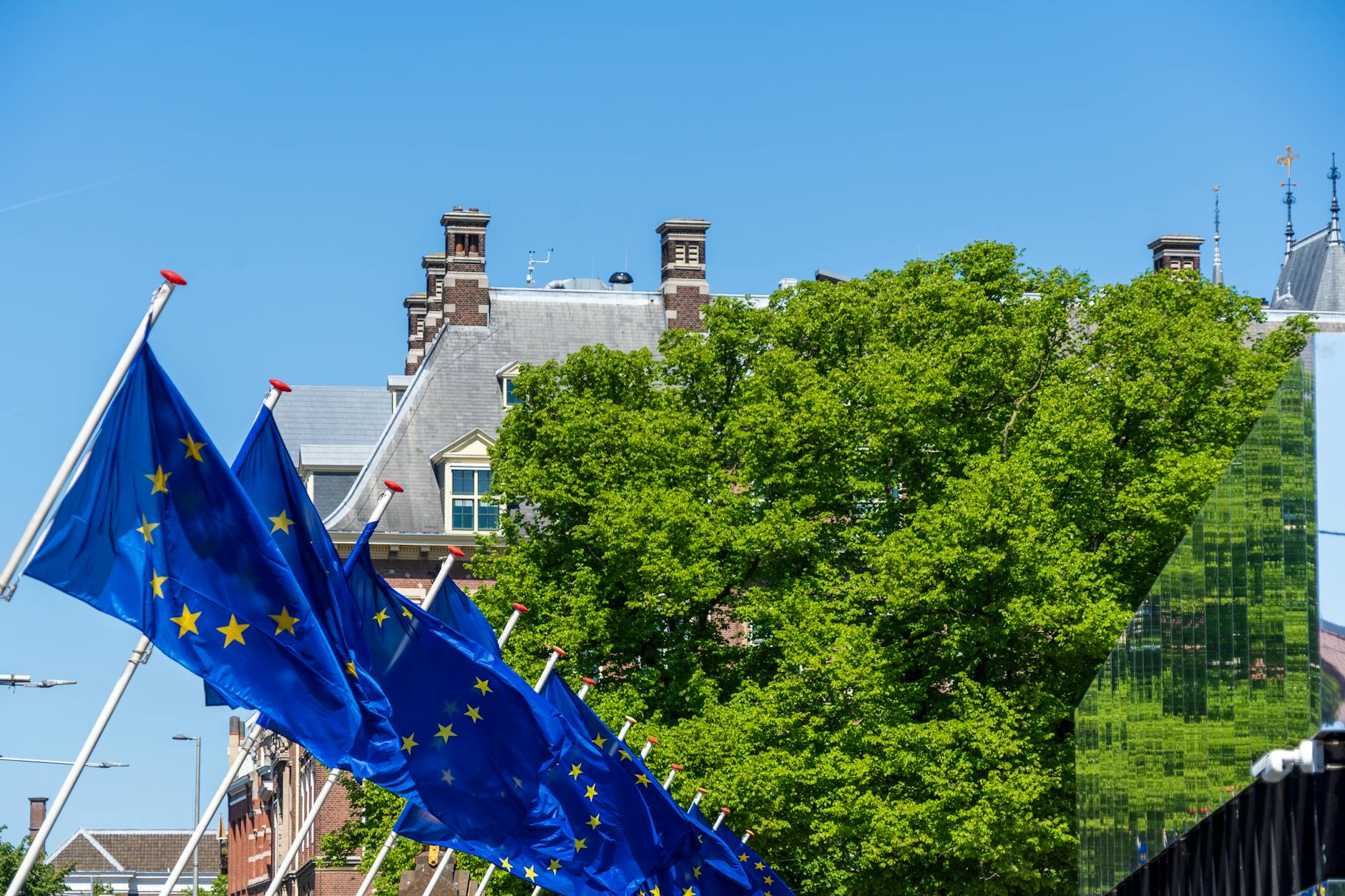 Multiple EU flags waving against a blue sky with greenery and architecture in the background.