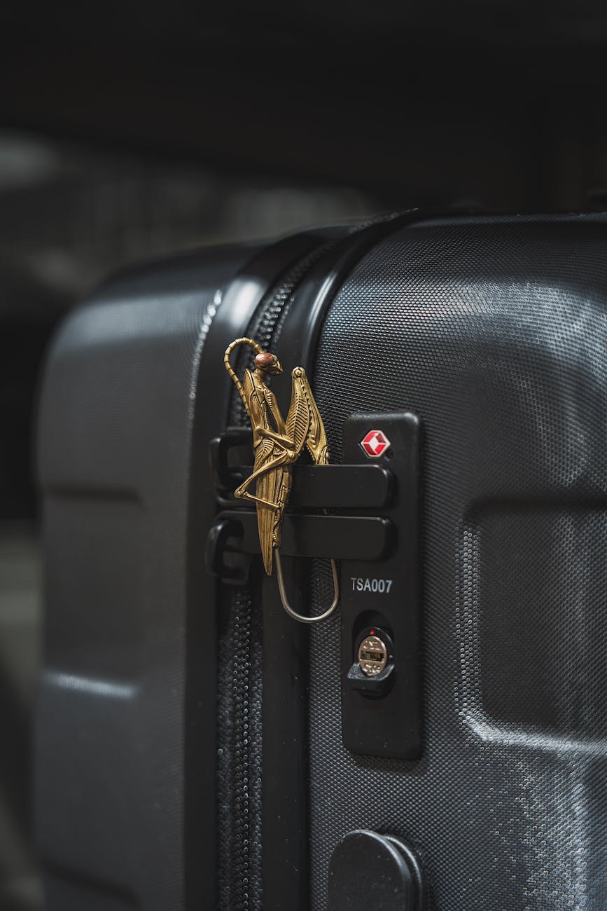 A detailed view of a brass praying mantis pendant attached to a suitcase lock.