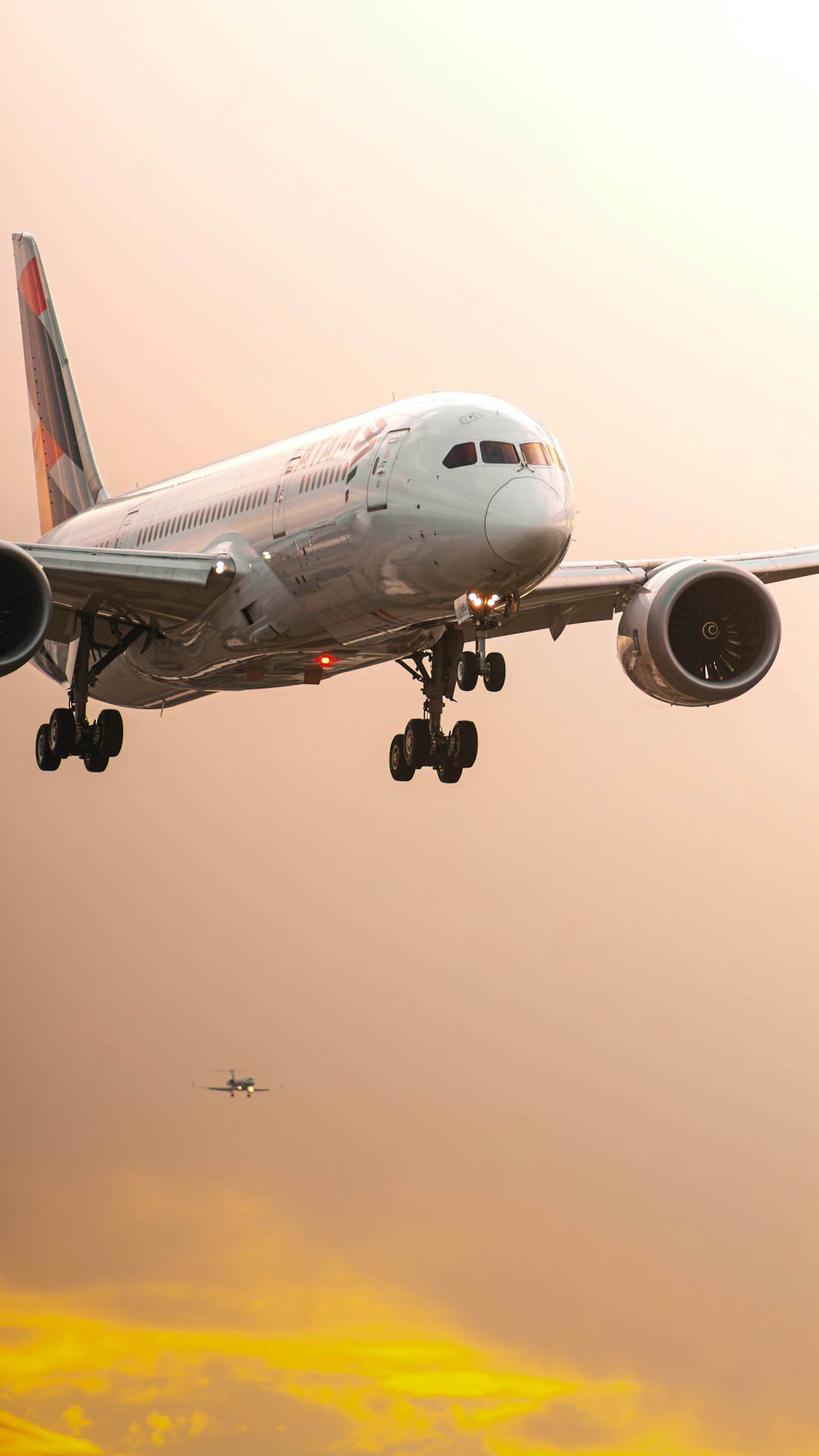 a large jetliner flying through a cloudy sky
